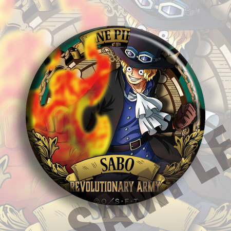 Przypinka Anime ONE PIECE Typ  – Anime Merchandise Types recenzja i cena